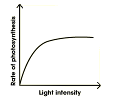 grafik laju fotosintesis terhadap intensitas cahaya