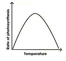 grafik laju fotosintesis terhadap suhu lingkungan