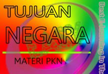 Tujuan Negara