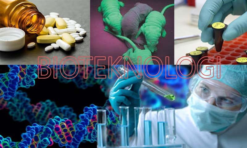 pengertian bioteknologi, contoh bioteknologi, bioteknologi konvensional dan bioteknologi modern