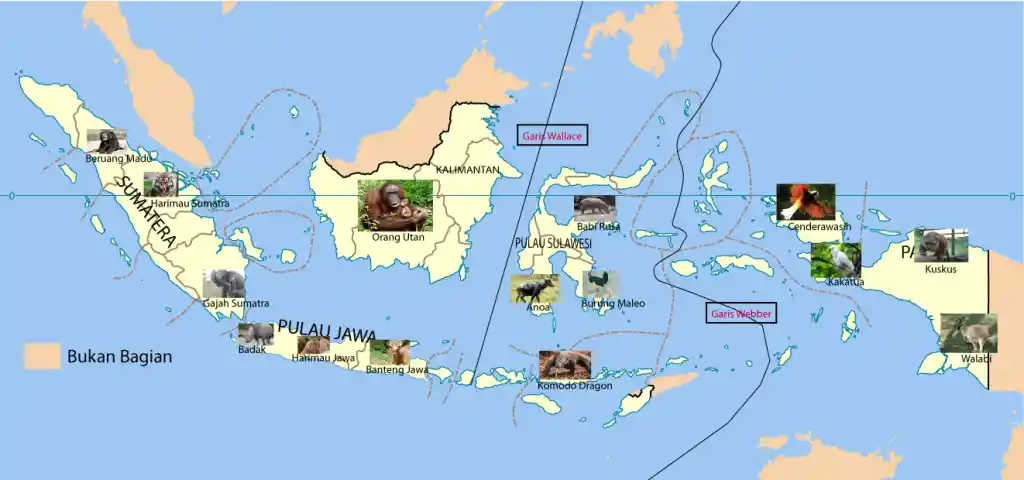 Peta persebaran fauna Indonesia ukuran besar full HD