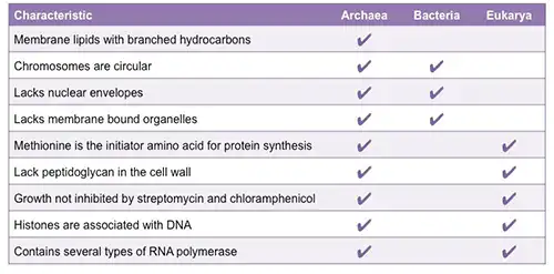 Tabel perbandingan archaebacteria, eubacteria dan eukarya
