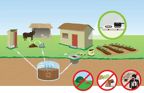 Contoh bakteri yang menguntungkan manusia Methanobacterium yang digunakan dalam produksi biogas berasal dari kotoran sapi.