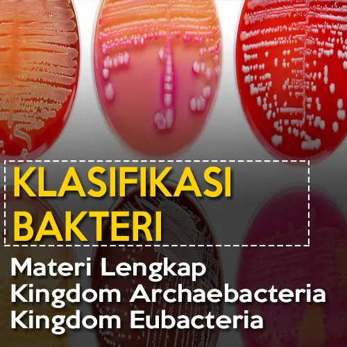 klasifikasi bakteri kingdom archabacteria dan kingdom eubacteria