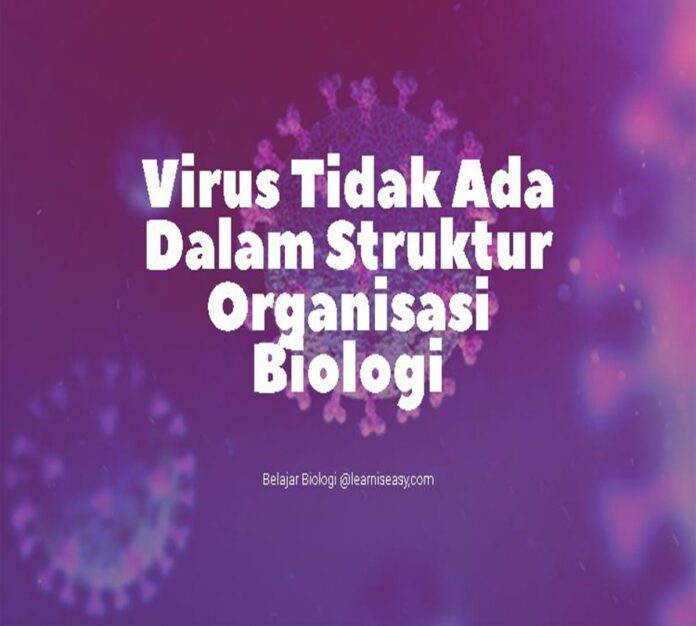 adakah virus dalam struktur organisasi biologi dan dimana urutannya
