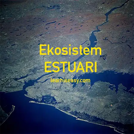 pengertian dan ciri ekosistem estuari