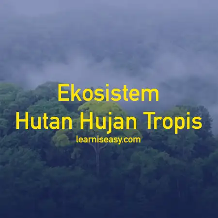 ekosistem hutan hujan tropis