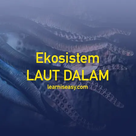 ekosistem laut dalam