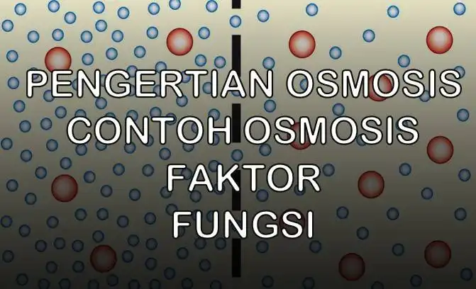 pengertian osmosis adalah contoh osmosis faktor fungsi