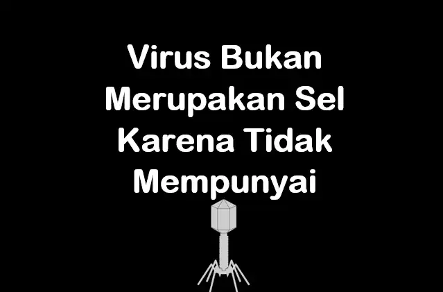 virus bukan merupakan sel karena tidak mempunyai