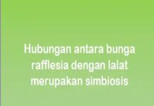 Hubungan antara bunga rafflesia dengan lalat merupakan simbiosis